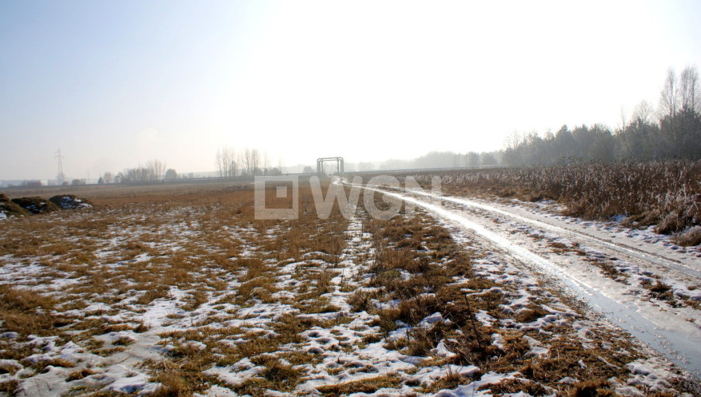 gratka-13310152 - Widok 4