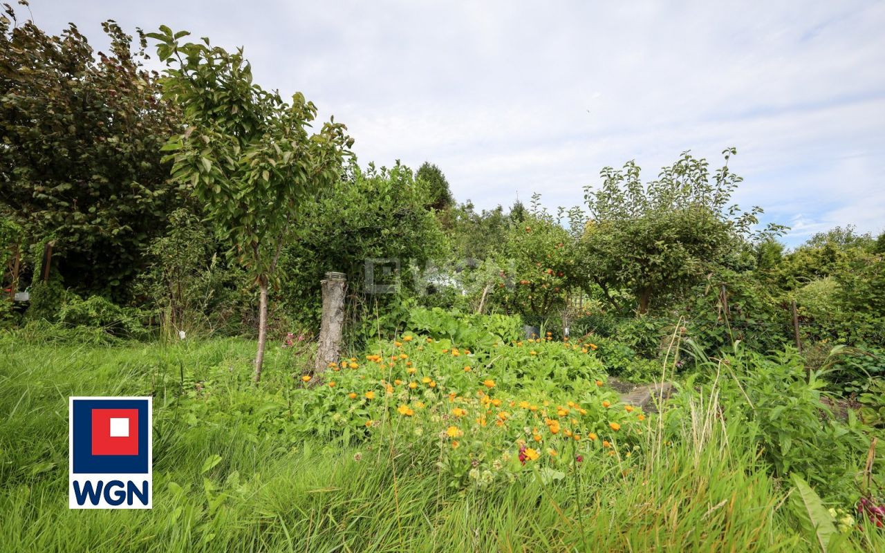 gratka-15060035 - Widok 4
