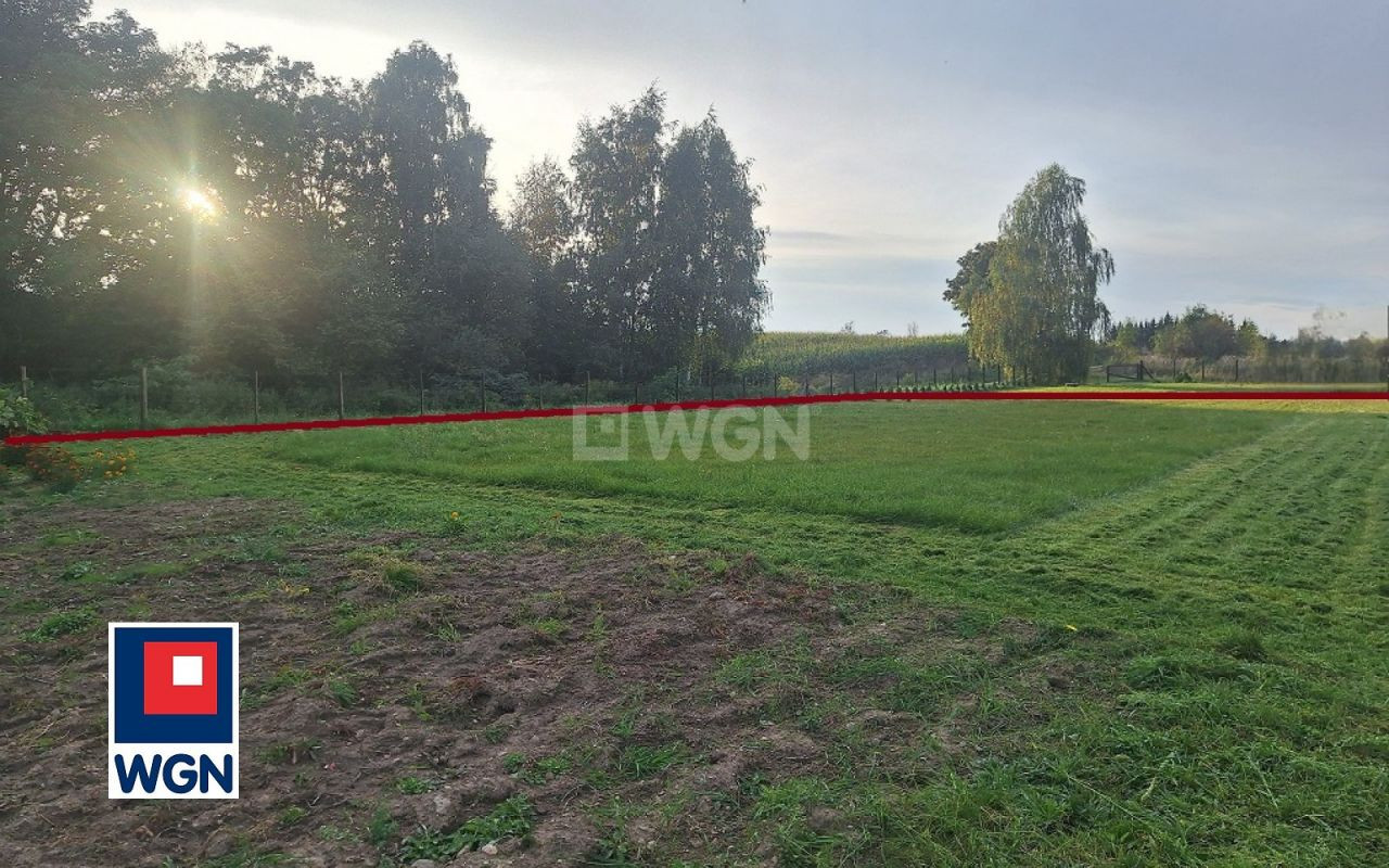 gratka-15730147 - Widok 5