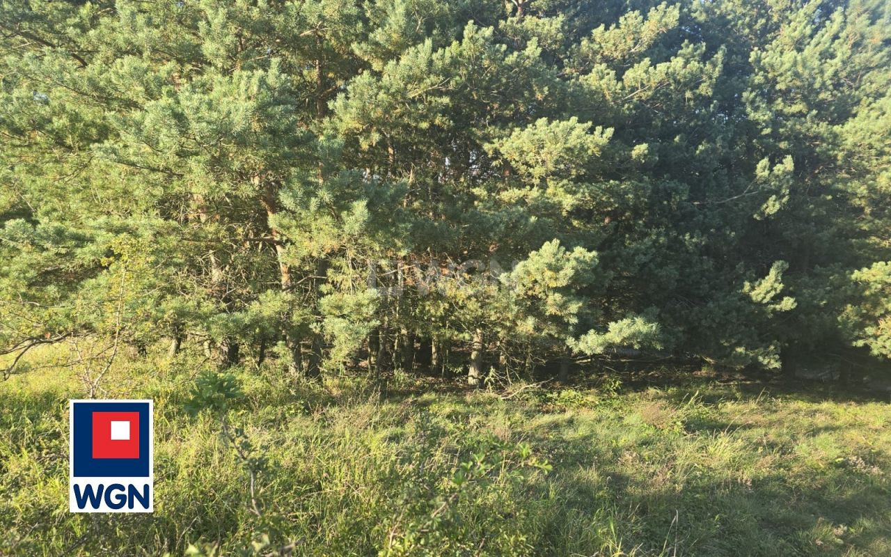 gratka-27690154 - Widok 3