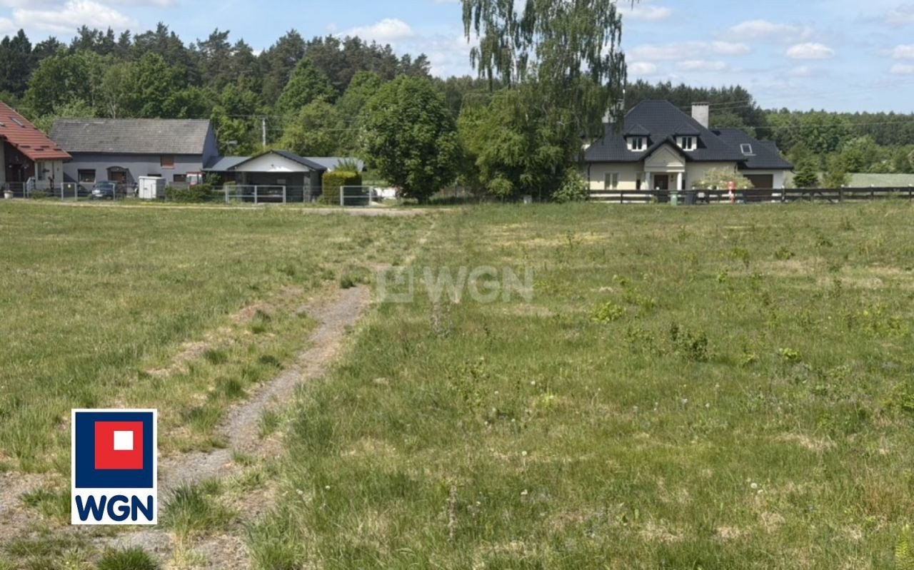 gratka-349230030 - Widok 4