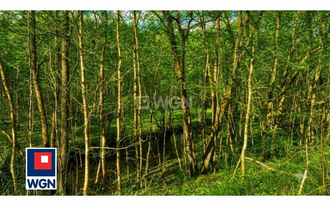 gratka-360400030 - Widok 3