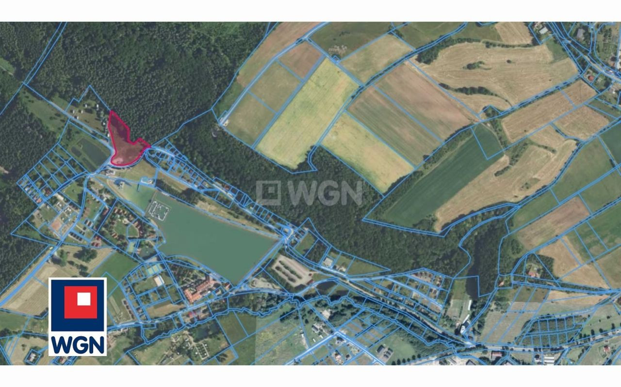 gratka-38540010 - Widok 5