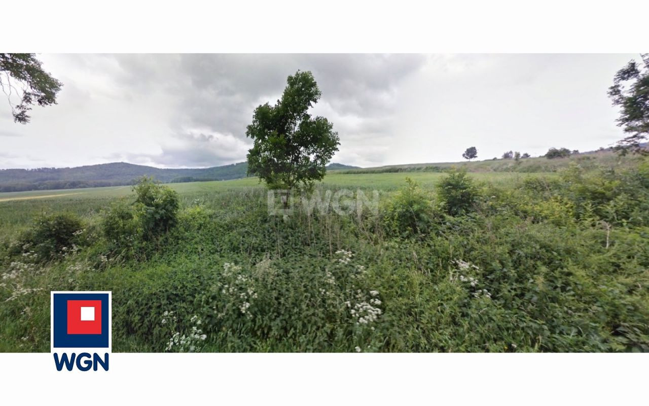 gratka-38520010 - Widok 2