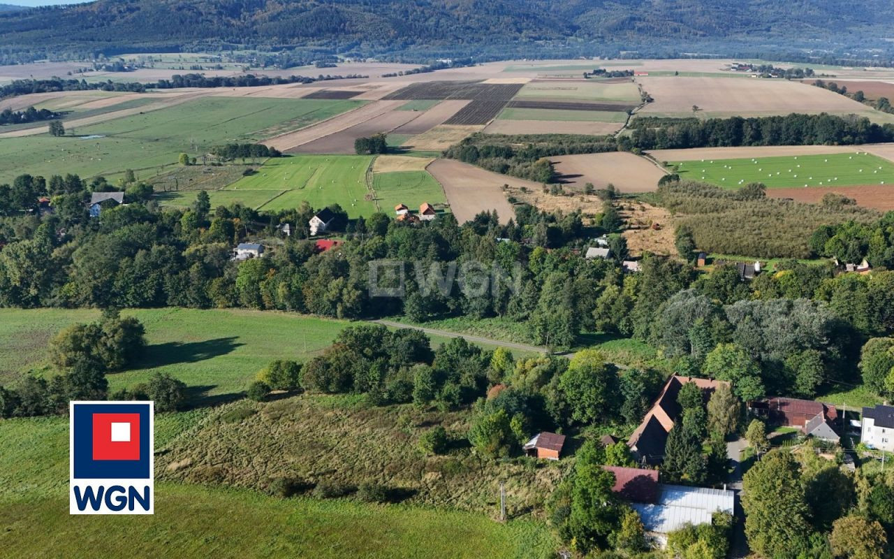 gratka-1550097 - Widok 2