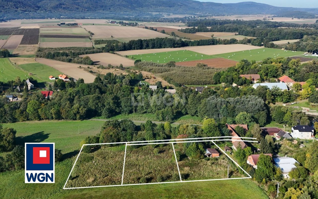 gratka-1550097 - Widok 3