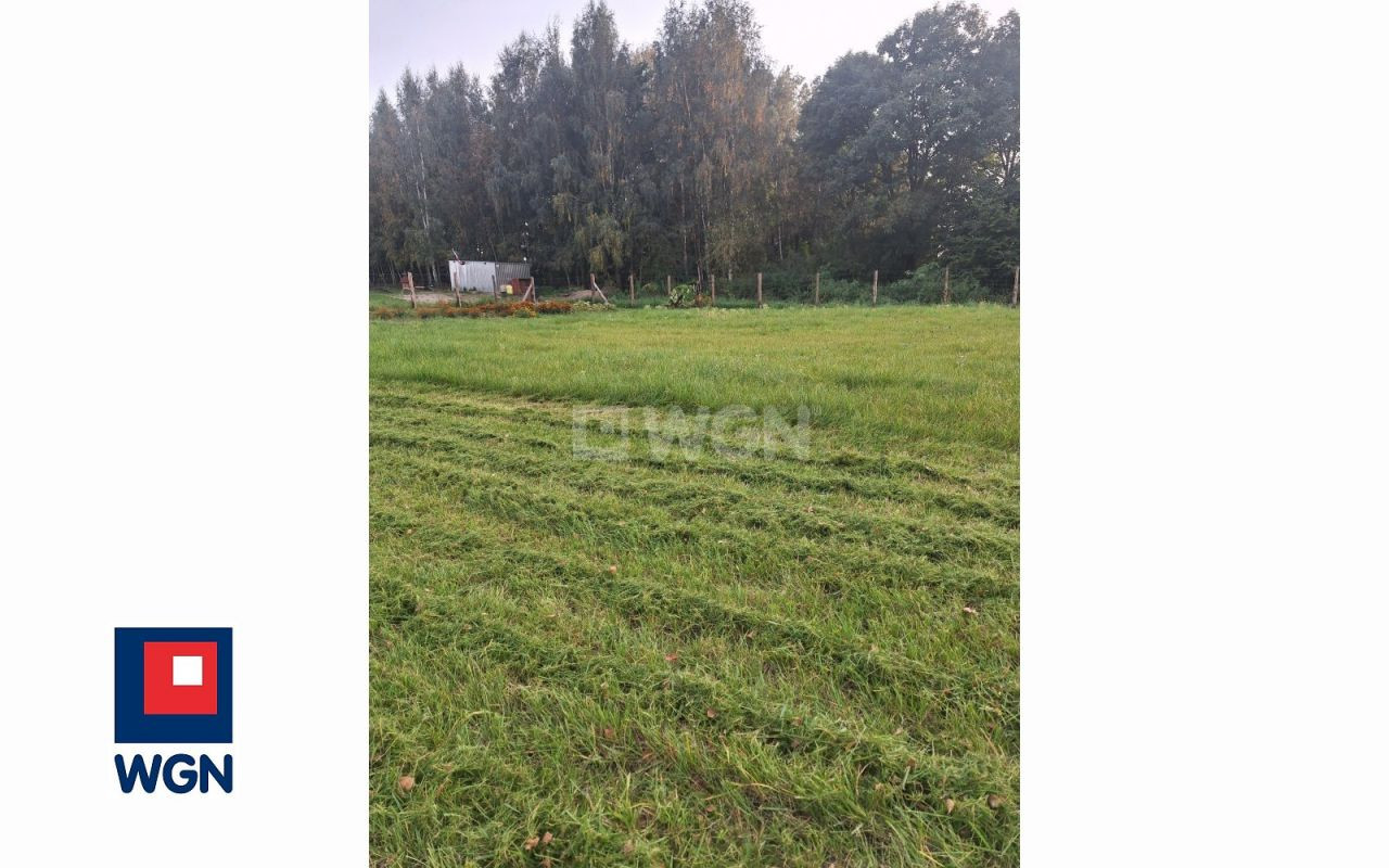 gratka-15730147 - Widok 3