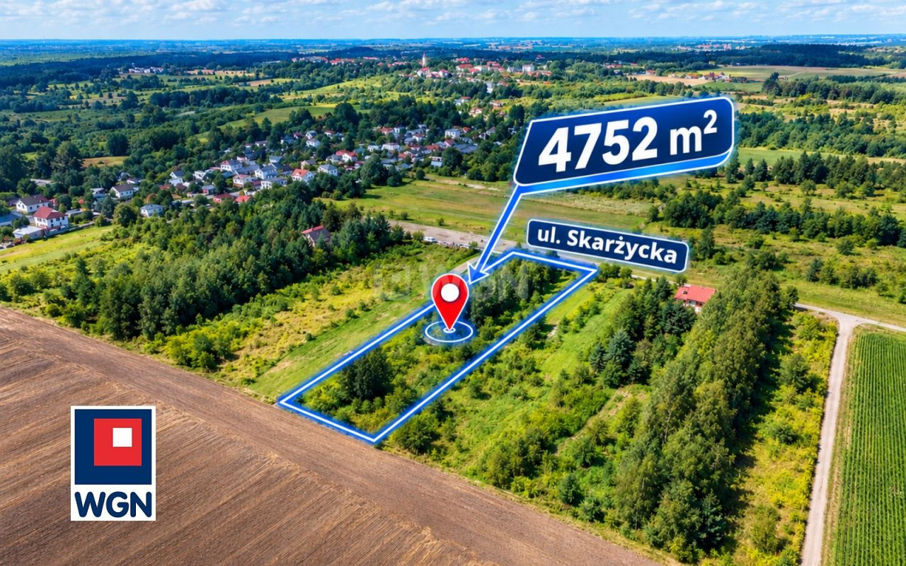 gratka-1950068 - Widok 2