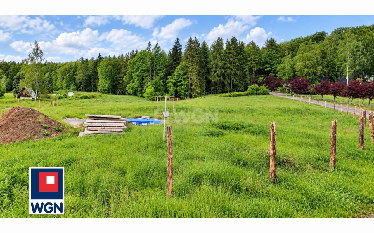 gratka-38540010 - Widok 2