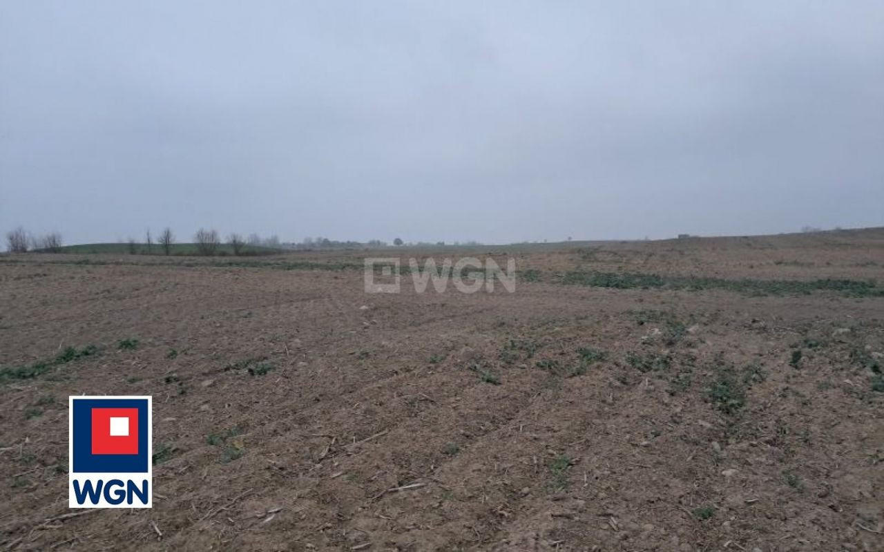 gratka-25180154 - View 3