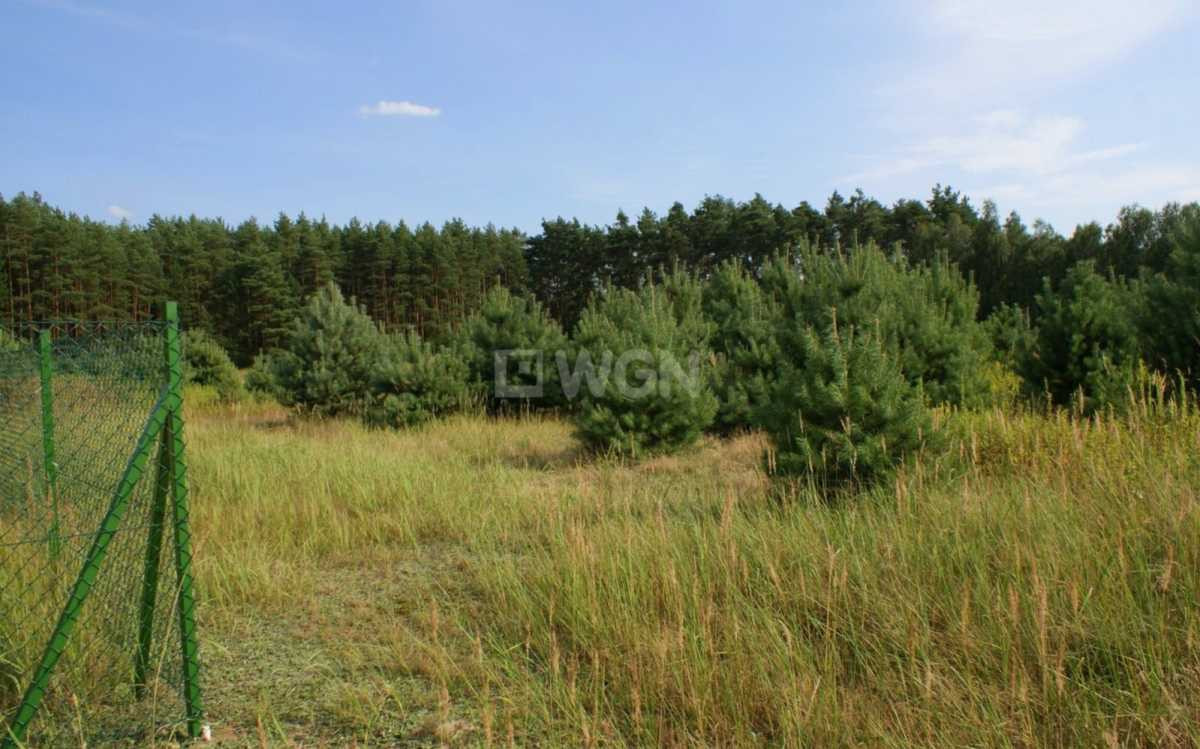 gratka-34430152 - Widok 6