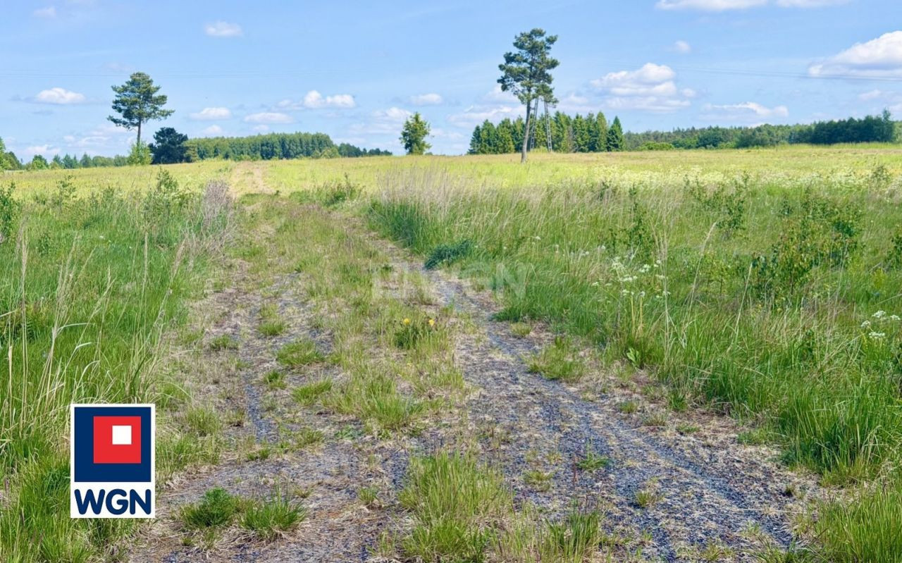 gratka-359650030 - Widok 5
