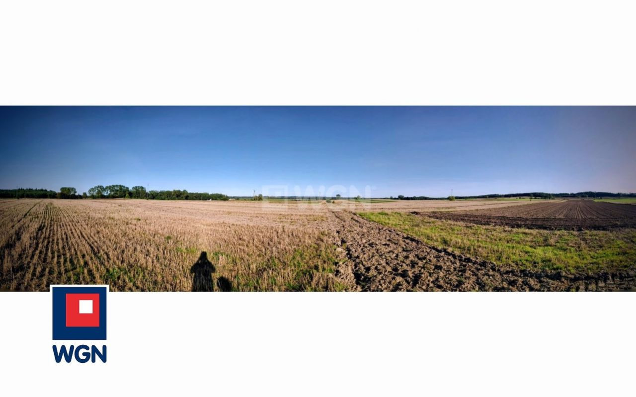 gratka-12930035 - Widok 2