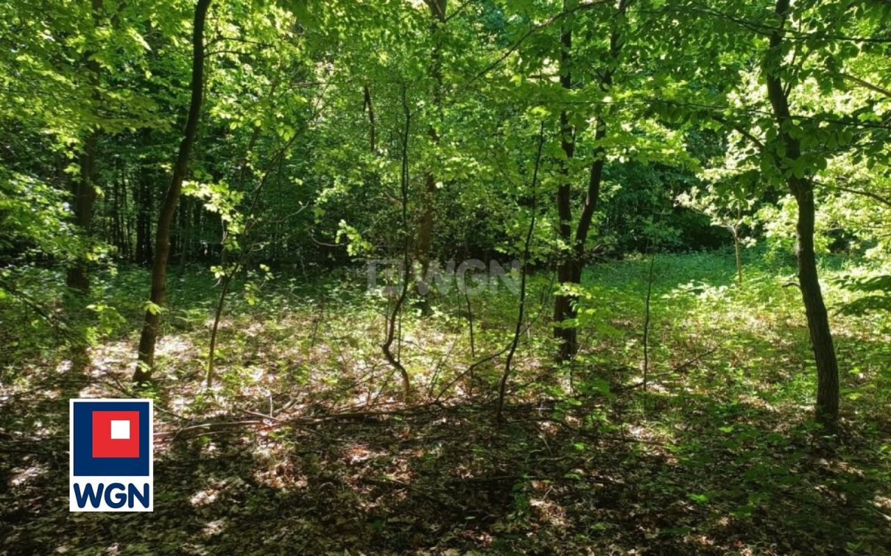 gratka-13570181 - Widok 3