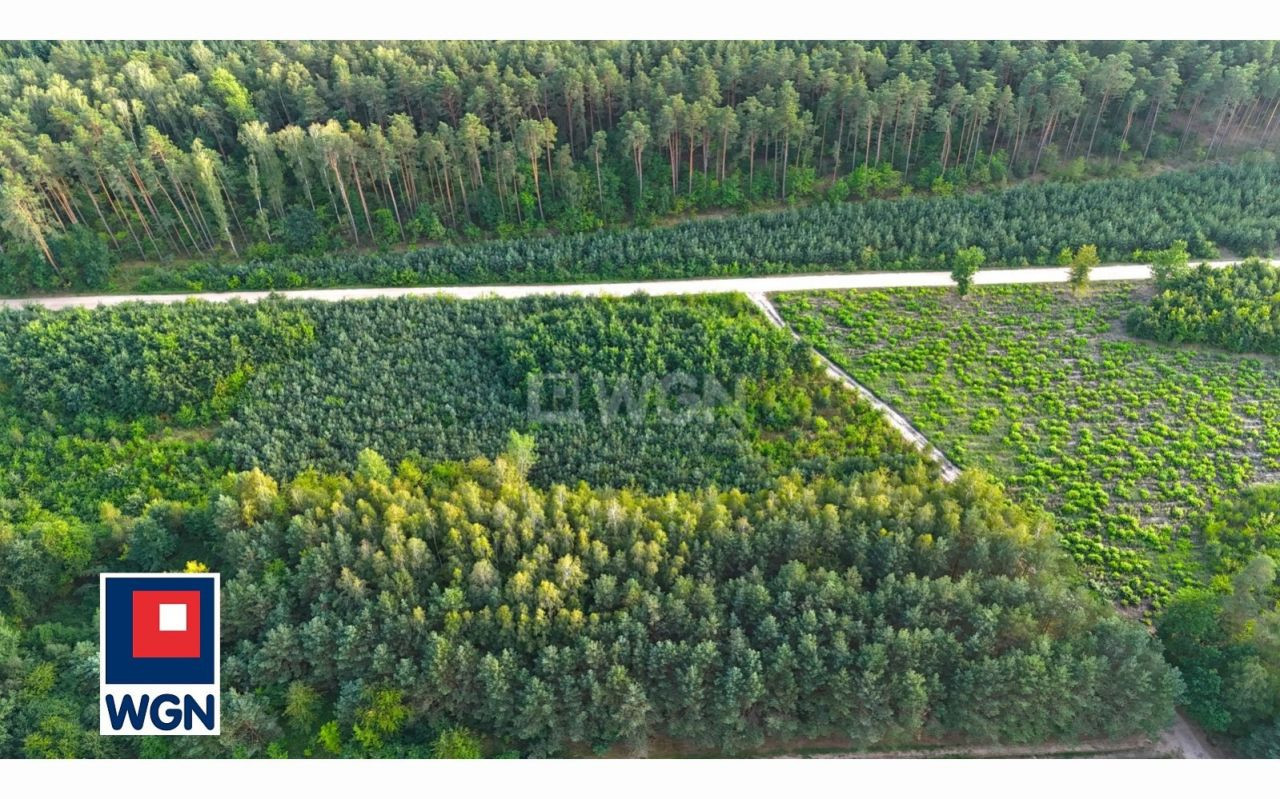 gratka-2470081 - Widok 2