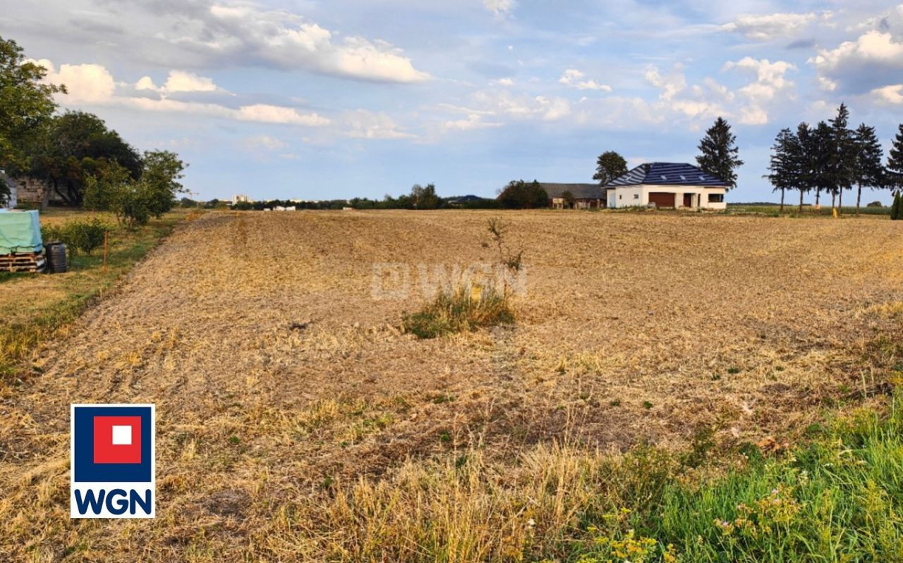 gratka-4090088 - Widok 2