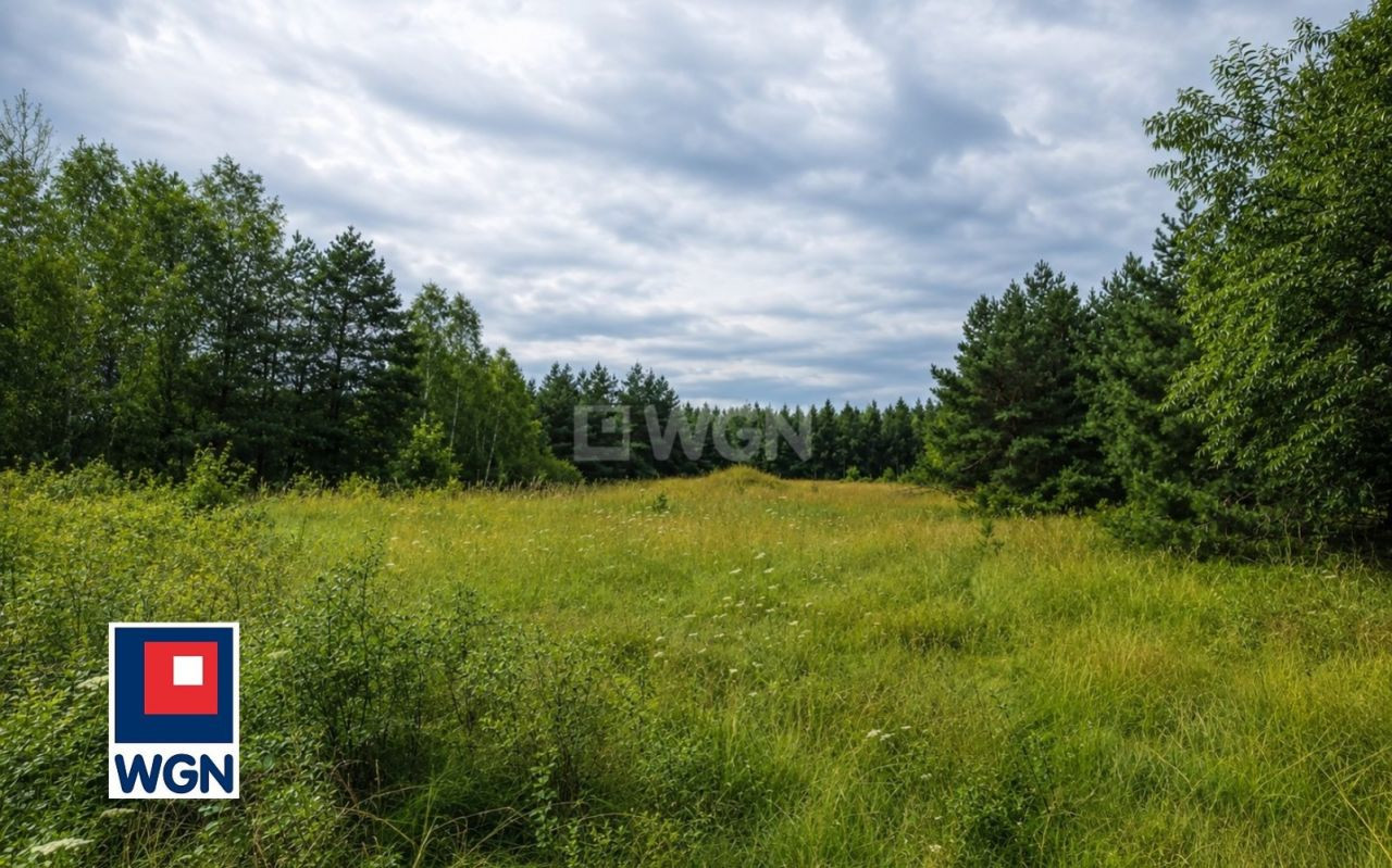gratka-43290032 - Widok 3