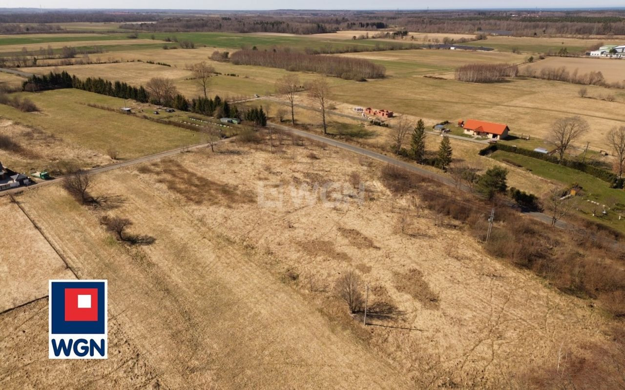 gratka-480082 - Więcej