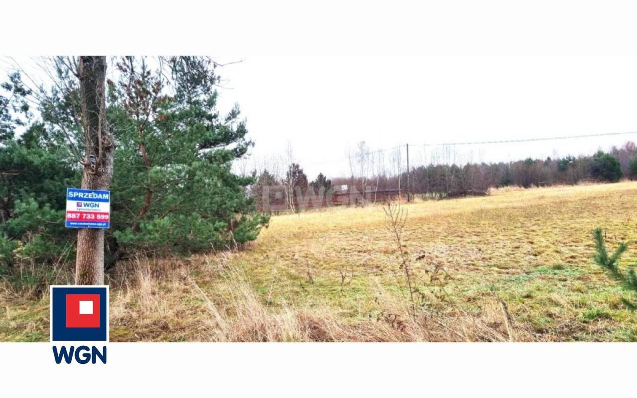 gratka-113560188 - Widok 5
