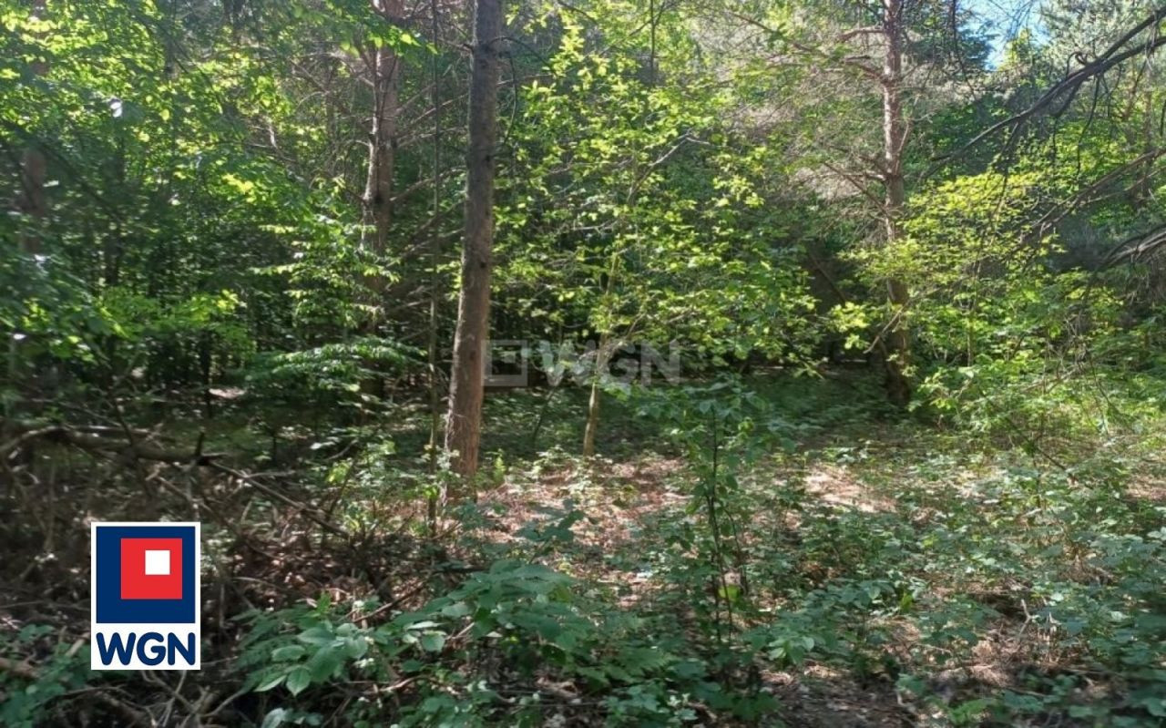 gratka-13570181 - Widok 4