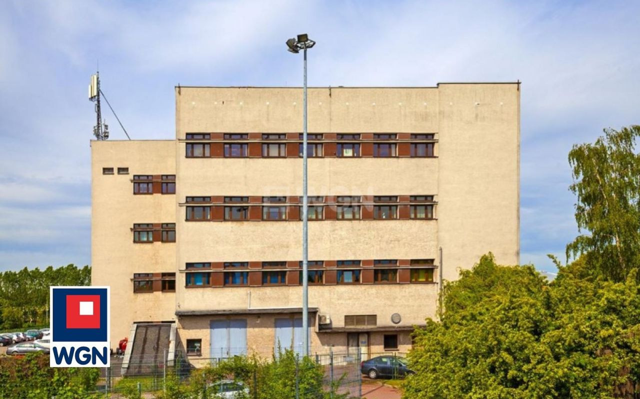 gratka-114550188 - Więcej