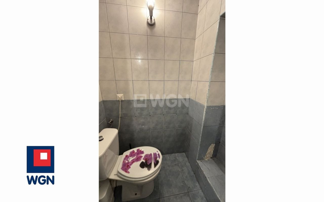 gratka-153450105 - Więcej