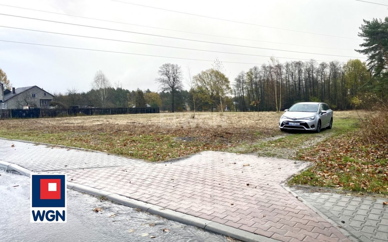gratka-50320048 - Widok 5