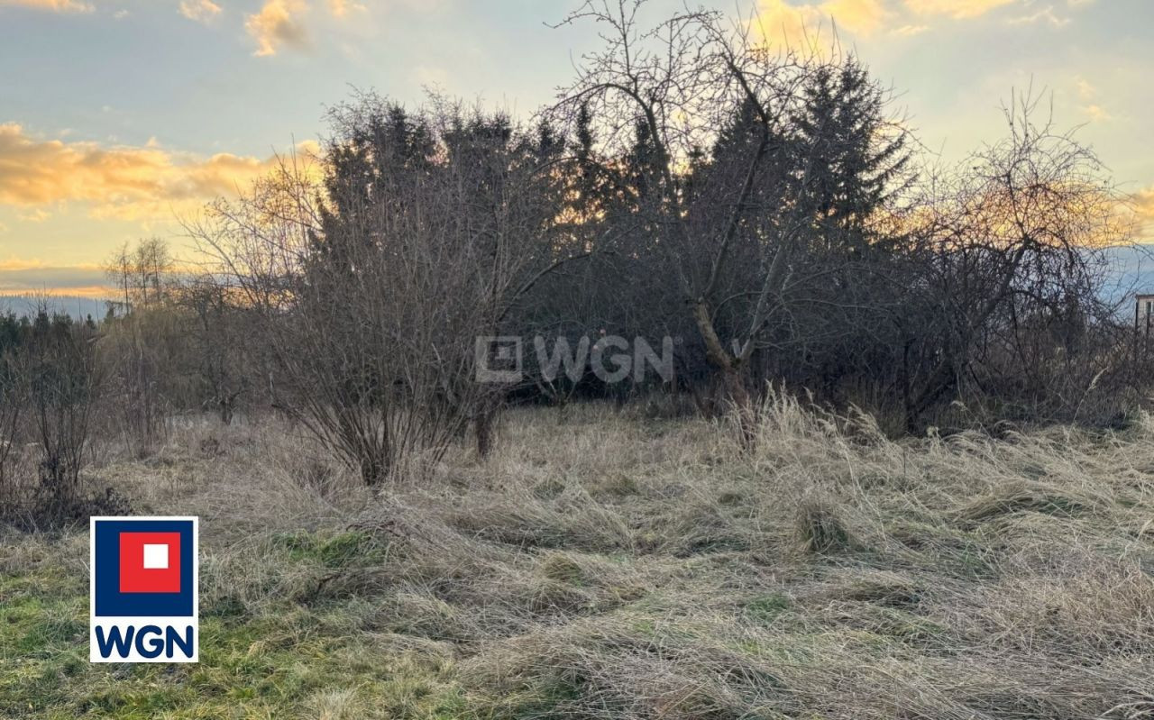 gratka-900097 - Widok 5