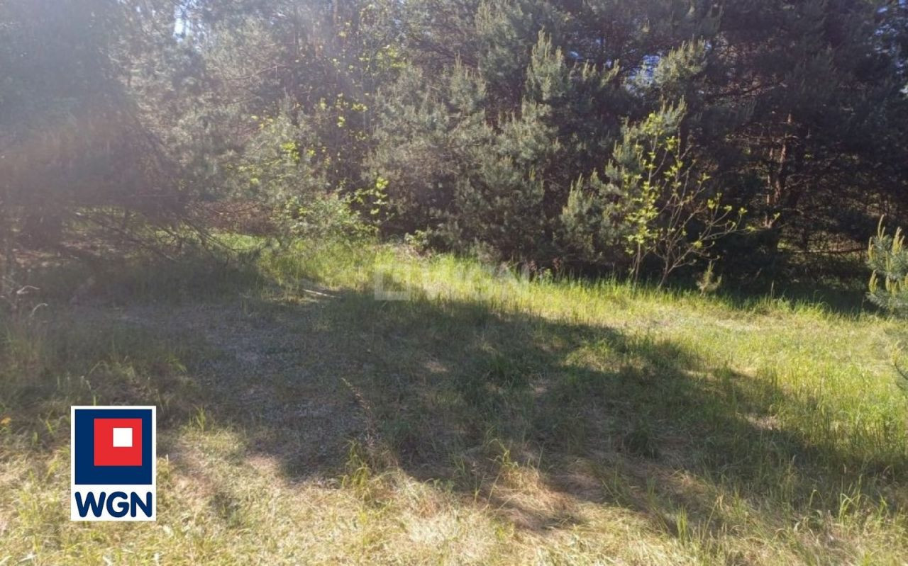 gratka-13570181 - Więcej