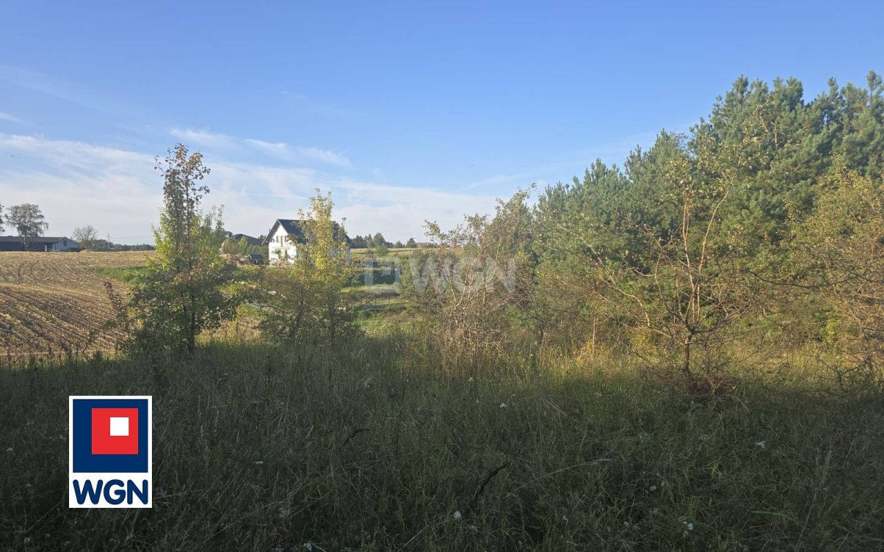 gratka-27690154 - Widok 4