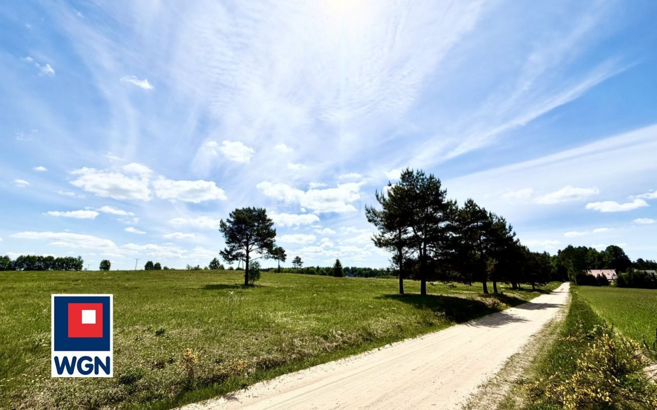 gratka-348560030 - Więcej