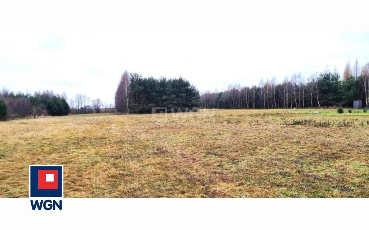 gratka-113560188 - Więcej