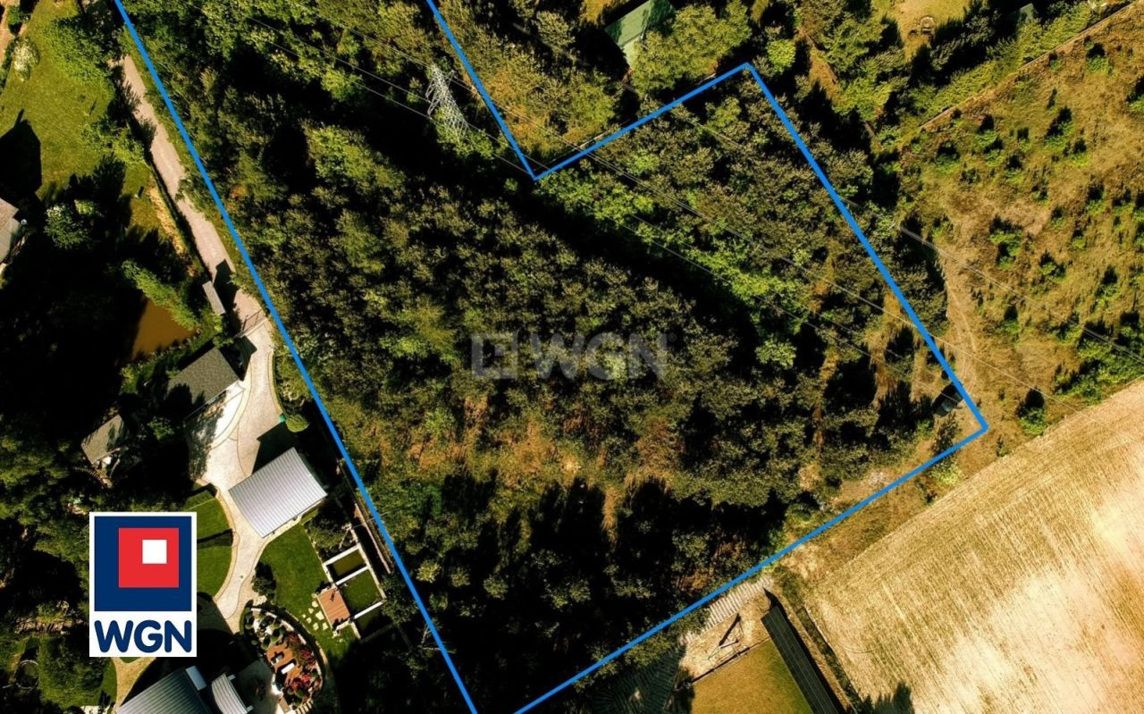 gratka-164110014 - Widok 2