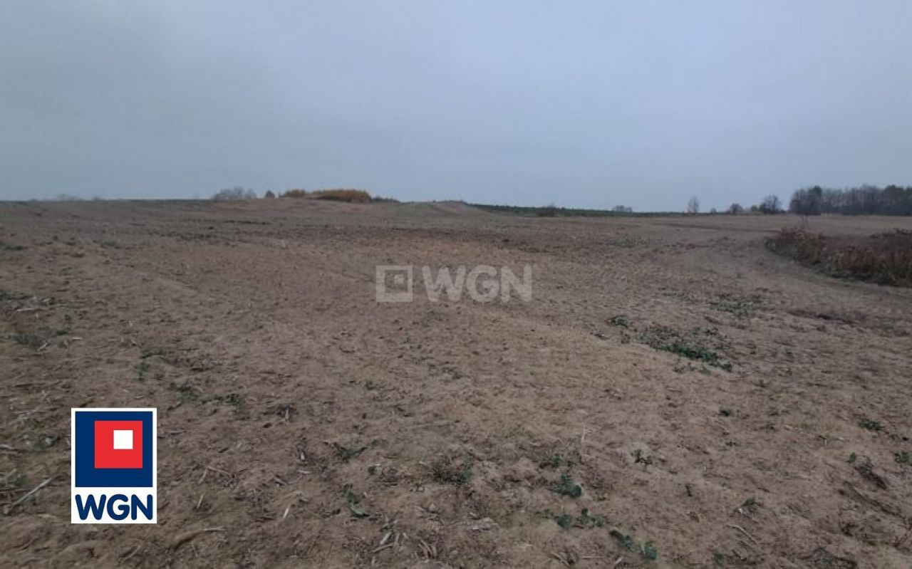 gratka-25180154 - View 2