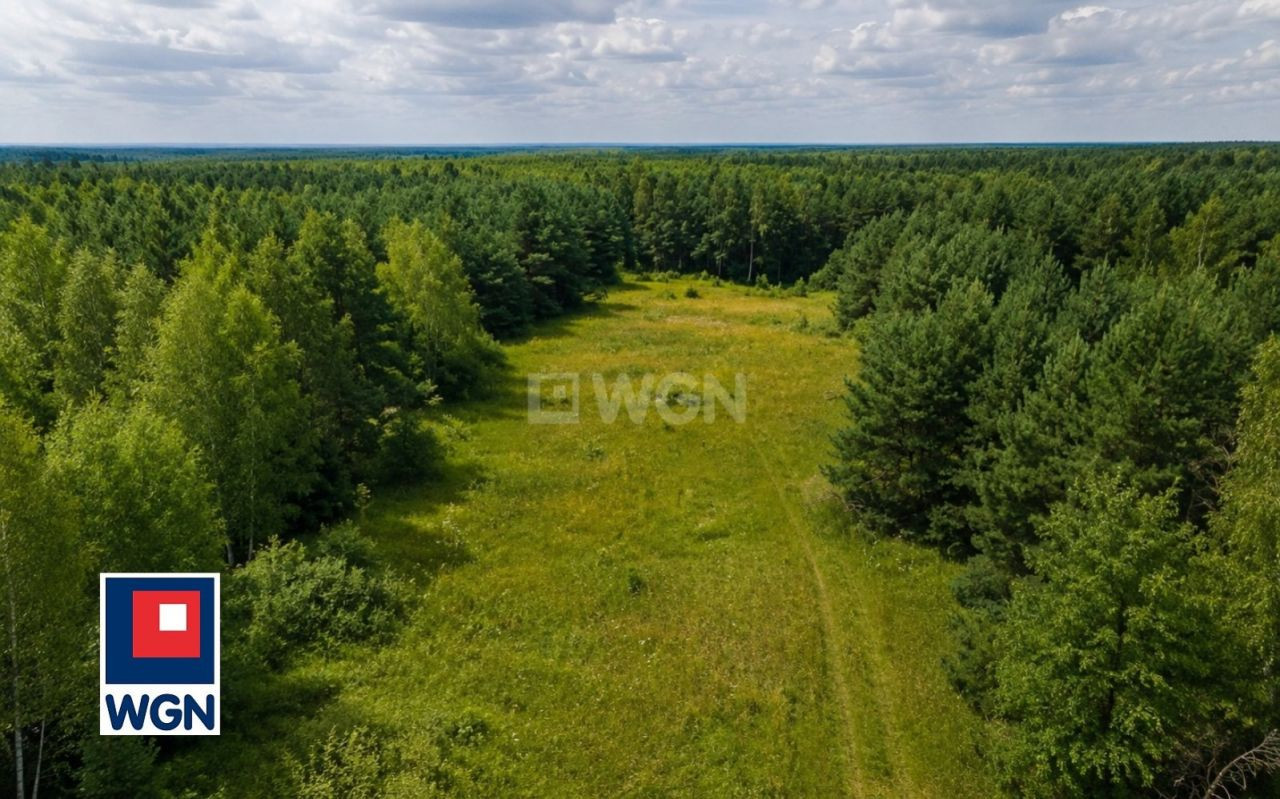 gratka-43290032 - Widok 2