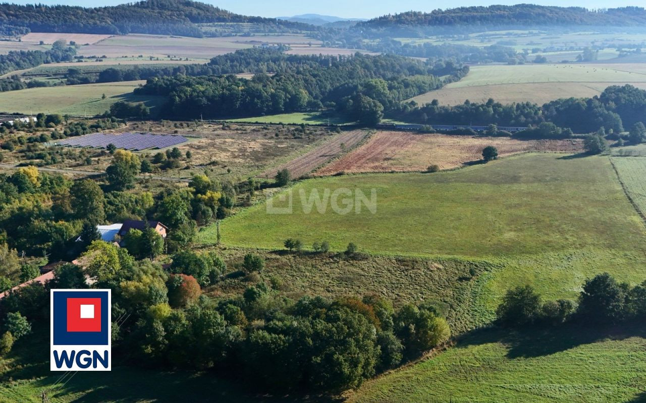 gratka-1550097 - Widok 5