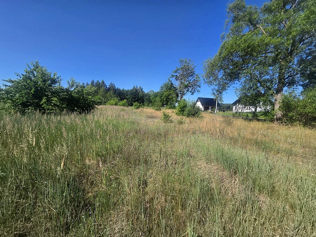 POD USŁUGI TUŻ NAD JEZIOREM DZIADKOWSKIM - Widok 4