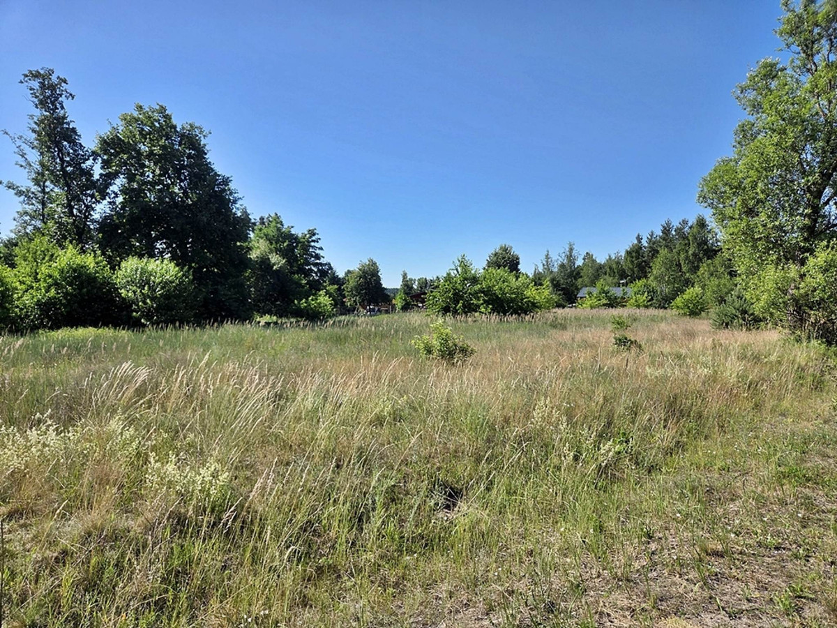 POD USŁUGI TUŻ NAD JEZIOREM DZIADKOWSKIM - Widok 3