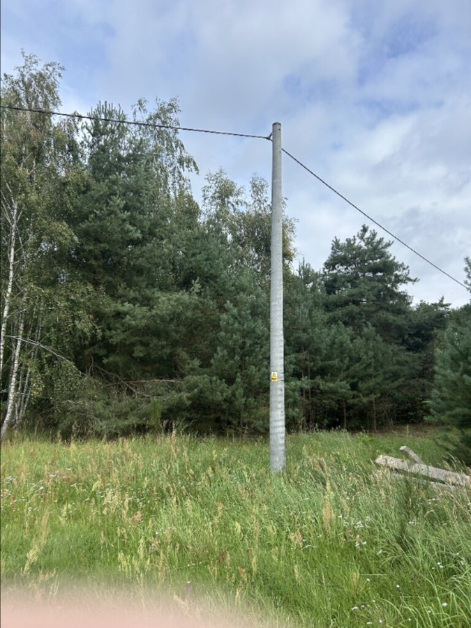 Działki w Borui Kościelnej o powierzchni 0,9352 ha - Widok 5