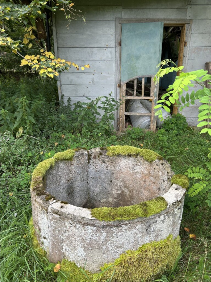 Działki w Borui Kościelnej o powierzchni 0,9352 ha - Więcej