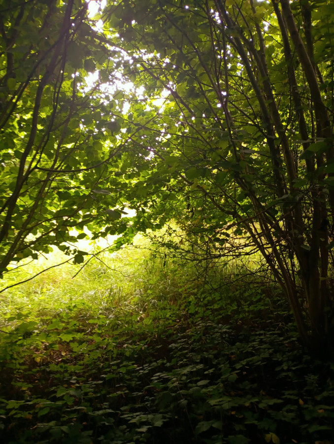 Działka, 2200 m²
