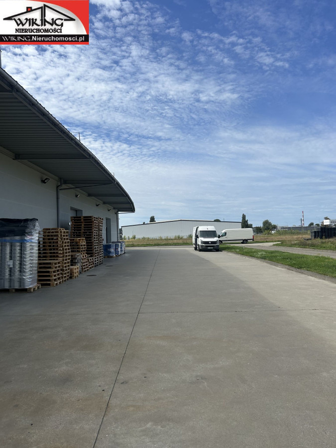 Magazyn 80 m² Janikowo koło Poznania | Wysokie składowanie, TIR, - Widok 5
