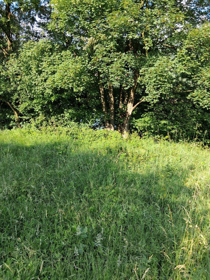 działka budowlana - Widok 5