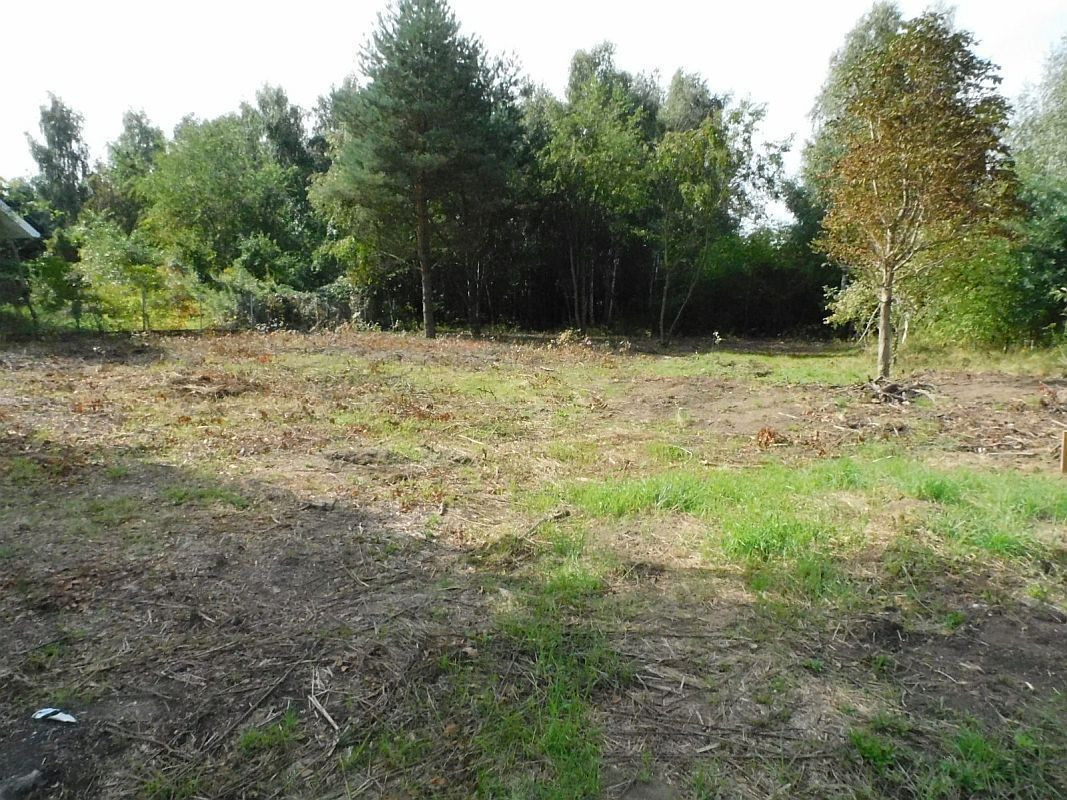 Gruszczyn, działka budowlana - Widok 3