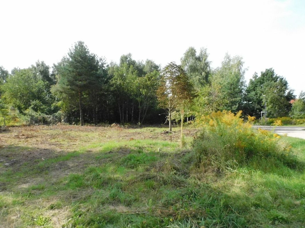 Gruszczyn, działka budowlana - Widok 2