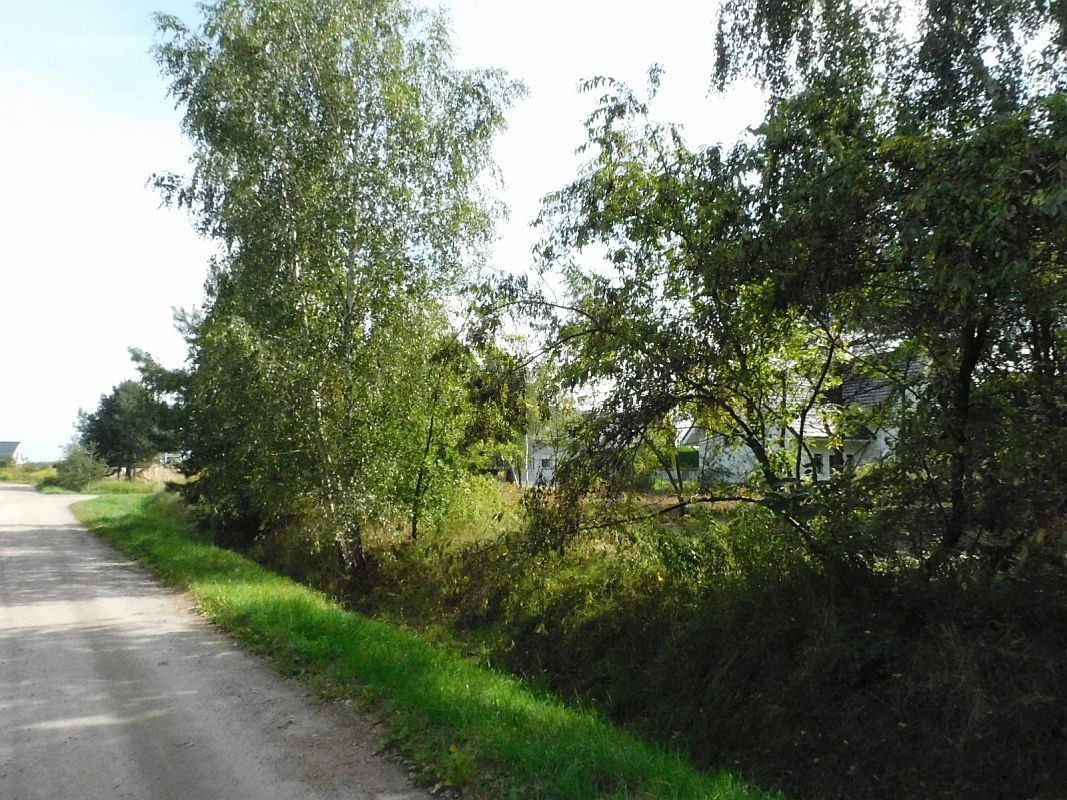 Gruszczyn, działka budowlana - Więcej