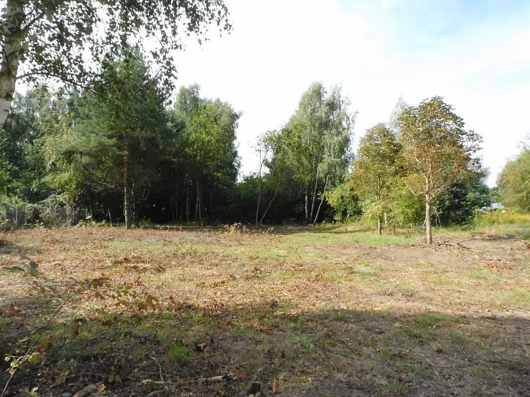 Gruszczyn, działka budowlana - Widok 4