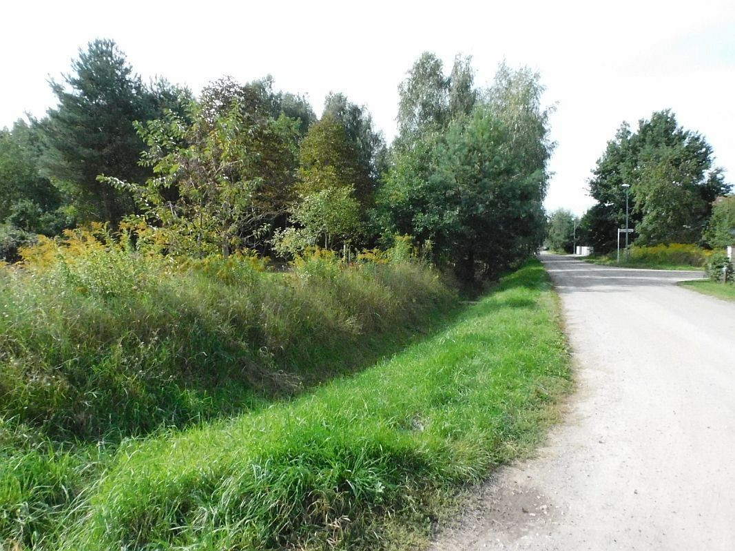 Gruszczyn, działka budowlana - Widok 5