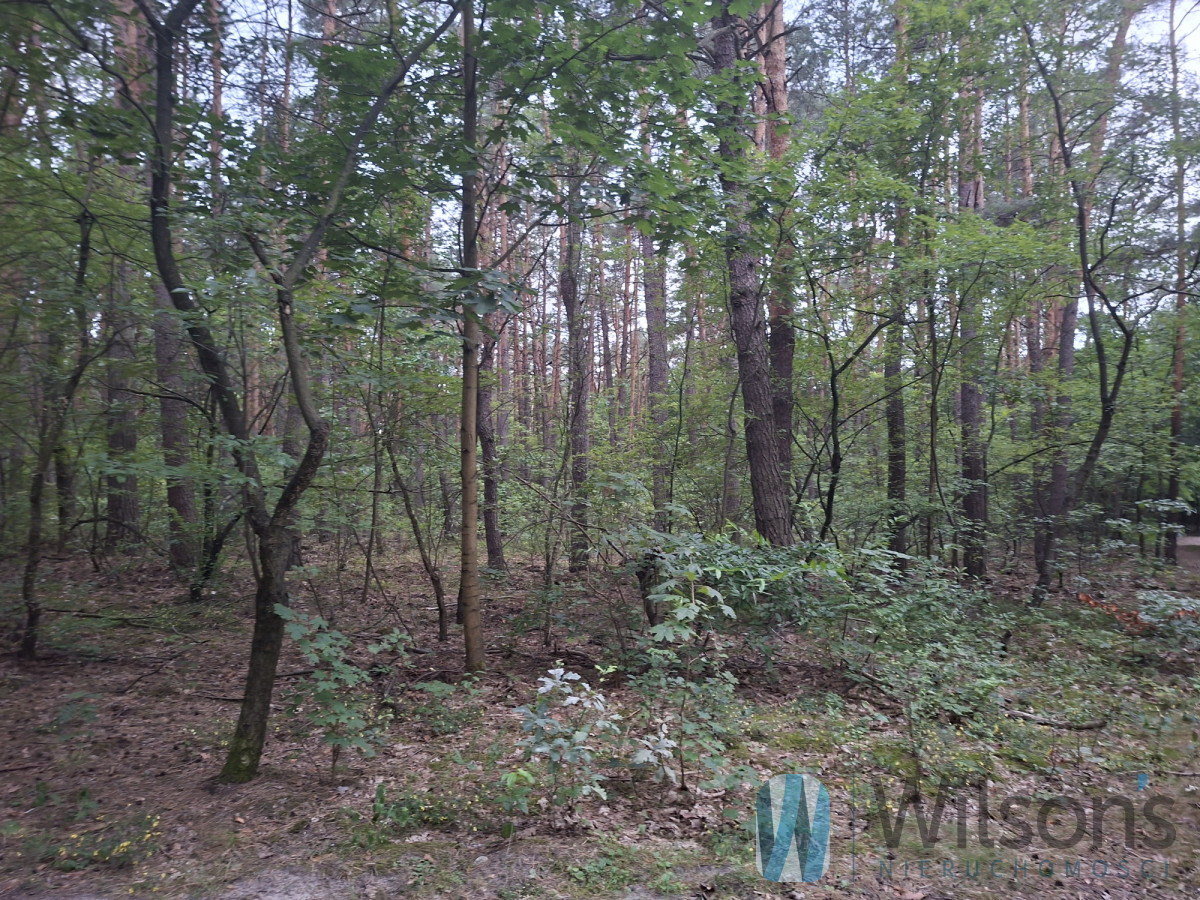 Otwock - Świder | 2700 m² | MPZP | działka pod dom - Więcej