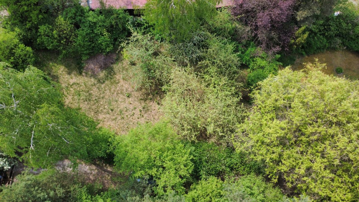 Piękna działka na wymarzony dom w Złotokłosie - Widok 4
